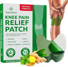 Chinese Herbal Knee Pain Relief Patch ( 12 patches in 1 box )